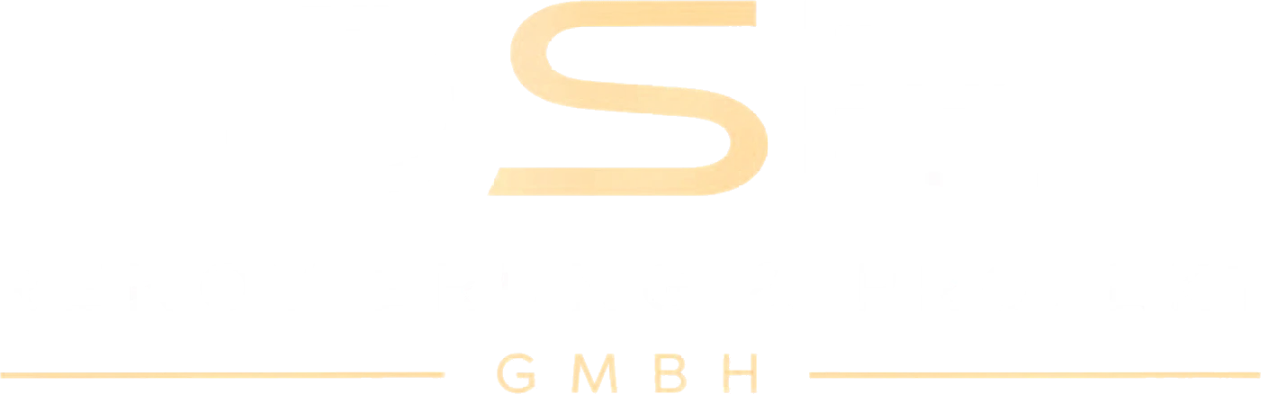 DSE Renovierung & Projekt GmbH